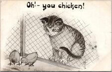 1910 Animal Comic Postcard Cat & Baby Chicks 