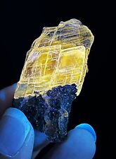 28.5g Natural Rare Yellow UV Light Selenite Mineral Specimen picture