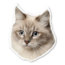 Siberian Cat Magnet picture