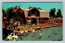 Indianapolis IN Indiana, The Indianapolis Zoo, Waterfowl Vintage Postcard picture
