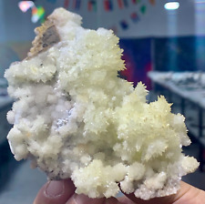 255G Museum Quality White Flowery Hydrozincite Crystal Cluster Mineral Specimen picture