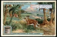 Forest Mount Kilimanjaro Africa c1907 Trade Ad Card picture