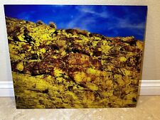 Mohave Trail Petroglyphs on Glass 16x20 (autographed by Photographer) picture