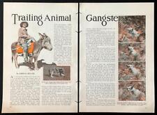 U.S. Biological Survey 1930 article “Trailing Animal Gangsters” Custer Wolf~Lobo picture