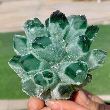 351G Newly discovered green phantom quartz crystal cluster minerals picture