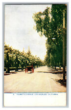 Palmetto Avenue Los Angeles California Buggy Vintage Standard View Postcard  picture