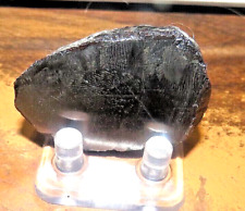 57 gm muonionalusta Meteorite slice Sweden iron nickel ring picture