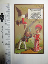 Colorful 1881 Victorian Trade Card Zoedone Beverage picture