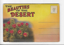 VINTAGE-POSTCARD FOLDER-THE BEAUTIES OF THE DESERT picture