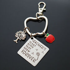 Teachers Plant Seeds Keychain Apple Shaped Key Ring Red Charm Clip Thanks Gift picture