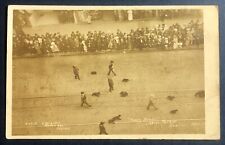 RPPC Seattle Washington Annual US Navy Parade Happy Bear Cubs 1908 picture