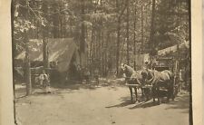 Postcard RPPC Horses Buggy Cabin Family picture