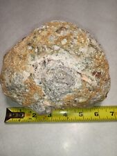 6 1/2 inch Unopened JUMBO Geode WOW  5 lbs. 3.2 oz  Crystals  MEXICO JUMBO #9 picture