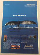 Vintage 1994 Mexico Travel Original Print Ad Full Page  - Savor The Whales picture