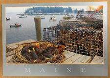 Five Islands Maine Lobsters Ready for Market Trap Boats Unposted Chrome Postcard picture