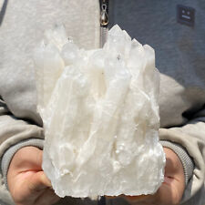 1958g Long Crystal Cluster Column Tooth Natural White Quartz Healing Specimen picture