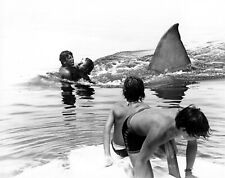 Jaws 1976 shark moves in to attack boys on boat 16x20 poster picture