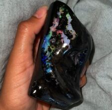 Fossilized Wood Opal picture