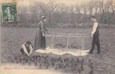 CPA 40 HEATHS GABLE HARVEST OR PINE SEED (Very rare shot TOP picture