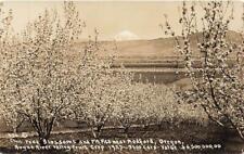 RPPC Fruit Blossoms Trees Mt Pitt In Distance Medford OR c1925 Real Photo P180 picture