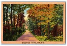 Eaton Indiana IN Postcard Greetings View Of Curve Road And Trees 1950 Vintage picture