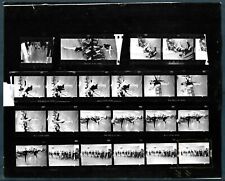 EXCLUSIVE MIAMI BALLET SEQUENCE SHOTS ALBERT COYA MIAMI 1967 VINTAGE Photo Y 202 picture