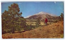c1960's Mount Meeker Chiefs Head Meeker Park Vrain Road Park Colorado Postcard picture