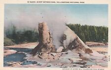 *Yellowstone Nat'l Park Postcard-