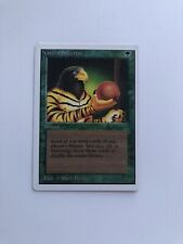 Natural Selection Unlimited Magic The Gathering MTG picture
