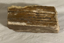 Petrified Wood Slab 1.9 Pound 6