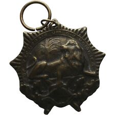 WW1 German Empire Colonial Merits Badge 2 Class Lion Order (ERP11-) picture