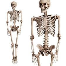 5.6ft Halloween Human Poseable Skull Skeleton Full Life Size Props Party Decor picture