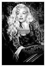 MARILYN MONROE SEXY CELEBRITY ACTRESS 4X6 B&W PHOTO picture
