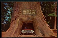 Chandelier Drive-Thru Tree Underwood Park Redwood Hwy CA Vintage Postcard R111 picture