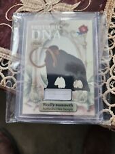  HISTORIC AUTOGRAPHS PRIME WOOLY MAMMOTH HAIR FUR DNA RELIC 7/24 SO RARE picture