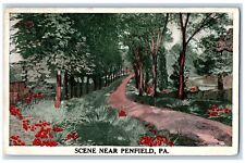 Penfield Pennsylvania Postcard Scenic View Of Trees River Flowers 1915 Antique picture