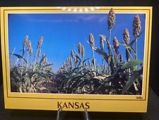 POSTCARD: Milo Crop Kansas Farms H9 picture