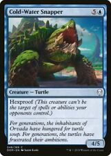 1x Cold-Water Snapper - NM English MTG - Dominaria picture