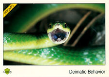 Rare 1991 Acorn Biosphere Promo Card 80 Deimatic Behavior - Smooth Green Snake picture