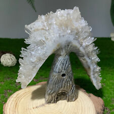 Natural Crystal Clear Quartz Cluster Tree House Hand Carved Mineral Specimens picture
