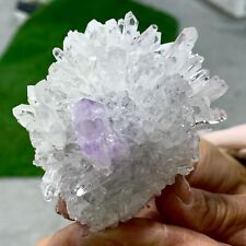 161G Natural Transparent Chrysanthemum crystal Cluster with Amethyst Specimen picture
