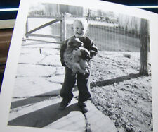 Rare Vintage Dog Photograph Circa 1920-50s Laughing Boy Holding Pup Wire Fence picture