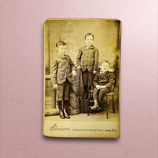 Antique Cabinet Card Photograph #33 - Portrait Of Three Young Brothers AKRON, NY picture