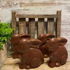 Faux Chocolate Easter Bunny Figure Container Set of 4 Plastic Bunny 4.5