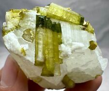 114 Gm Well Terminated Amazing Tourmaline Crystals On Quartz Specimen @AFG picture