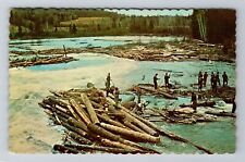 Thessalon Ontario Canada, Annual Log Drive On The White River, Vintage Postcard picture