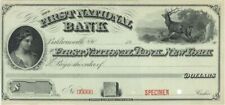 First National Bank New York - American Bank Note Company Specimen Checks - Amer picture
