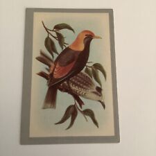 Regent Bower-Bird - Card No 4- Birds Of Australia - Malties Pty Ltd P picture