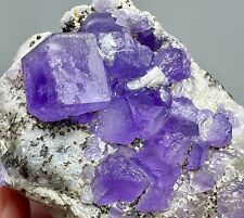359 Ct. Full Terminatd Ultra Rare Rich Purple Color Apatite Crystals Cluster, Mt picture