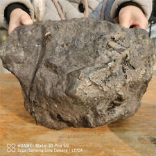47.4 LB Magnetic olive breccia meteorite exoplanet mineral rock specimen picture